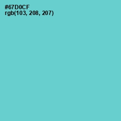 #67D0CF - Downy Color Image