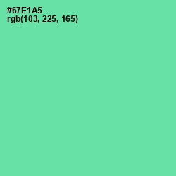 #67E1A5 - De York Color Image