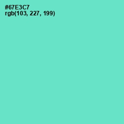 #67E3C7 - Aquamarine Color Image