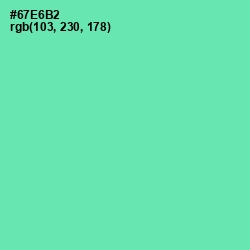 #67E6B2 - De York Color Image