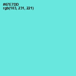 #67E7DD - Aquamarine Color Image