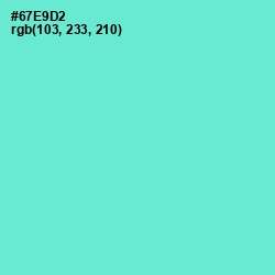 #67E9D2 - Aquamarine Color Image