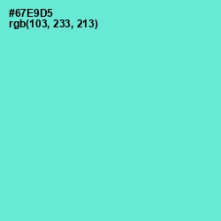 #67E9D5 - Aquamarine Color Image
