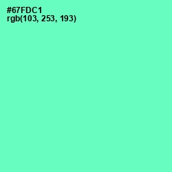 #67FDC1 - Aquamarine Color Image