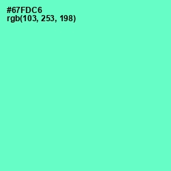 #67FDC6 - Aquamarine Color Image