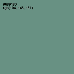#689183 - Patina Color Image