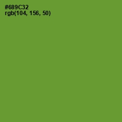 #689C32 - Olive Drab Color Image