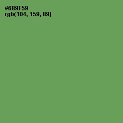 #689F59 - Glade Green Color Image