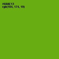 #68AE13 - Christi Color Image