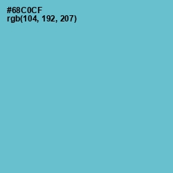 #68C0CF - Viking Color Image