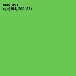 #68C853 - Mantis Color Image
