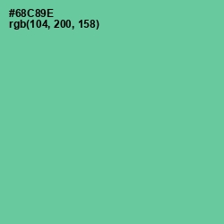#68C89E - De York Color Image