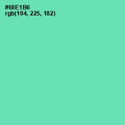 #68E1B6 - De York Color Image