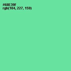 #68E39F - De York Color Image
