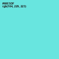 #68E5DF - Aquamarine Color Image