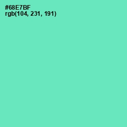 #68E7BF - De York Color Image