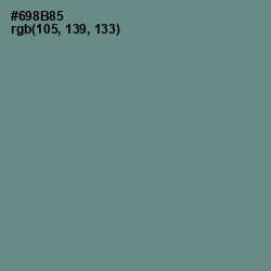 #698B85 - Blue Smoke Color Image