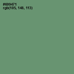 #699471 - Viridian Green Color Image