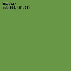 #699747 - Glade Green Color Image