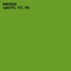 #699D28 - Olive Drab Color Image