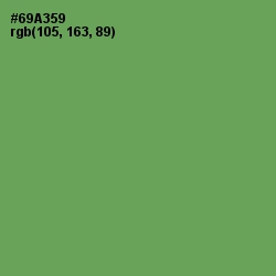 #69A359 - Asparagus Color Image