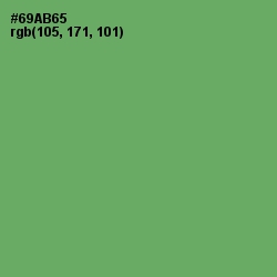 #69AB65 - Fern Color Image