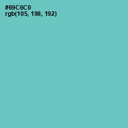 #69C6C0 - Downy Color Image
