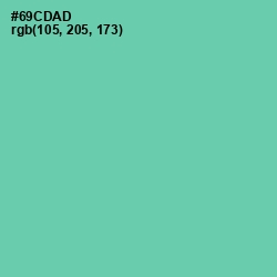 #69CDAD - De York Color Image