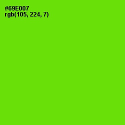 #69E007 - Bright Green Color Image