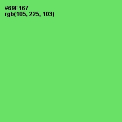 #69E167 - Screamin' Green Color Image