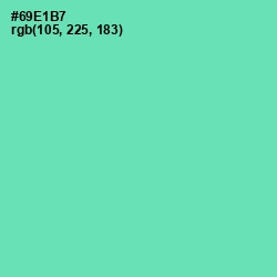 #69E1B7 - De York Color Image