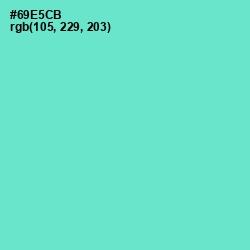 #69E5CB - Aquamarine Color Image