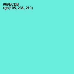 #69ECDB - Aquamarine Color Image