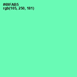 #69FAB5 - De York Color Image