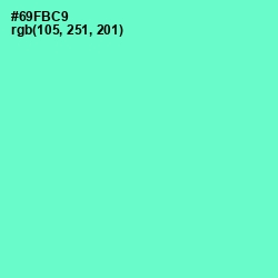 #69FBC9 - Aquamarine Color Image