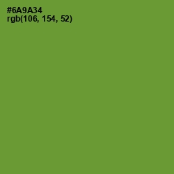 #6A9A34 - Olive Drab Color Image