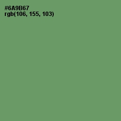 #6A9B67 - Highland Color Image
