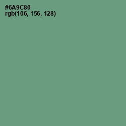 #6A9C80 - Patina Color Image