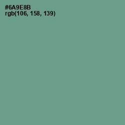 #6A9E8B - Patina Color Image