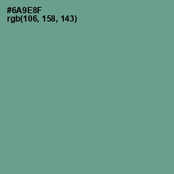 #6A9E8F - Patina Color Image