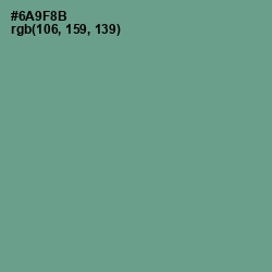 #6A9F8B - Patina Color Image