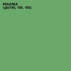 #6AA96A - Fern Color Image
