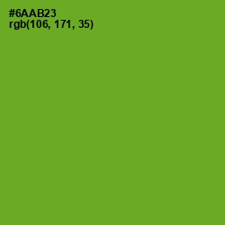 #6AAB23 - Christi Color Image