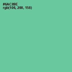 #6AC89E - De York Color Image