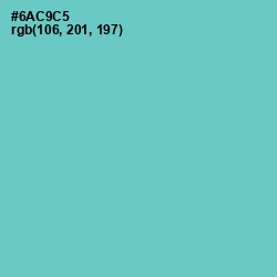 #6AC9C5 - Downy Color Image