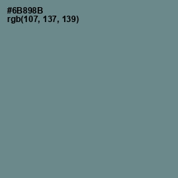 #6B898B - Slate Gray Color Image