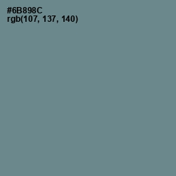 #6B898C - Juniper Color Image