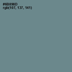 #6B898D - Juniper Color Image