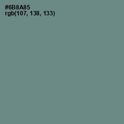 #6B8A85 - Blue Smoke Color Image