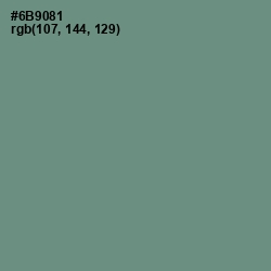 #6B9081 - Patina Color Image